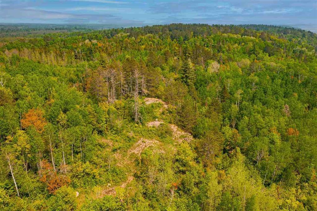 TBD- Parcel A Pine Island, Tower, Minnesota image 19