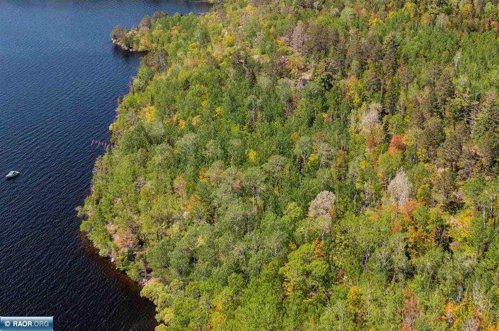 TBD- Parcel A Pine Island, Tower, Minnesota image 11