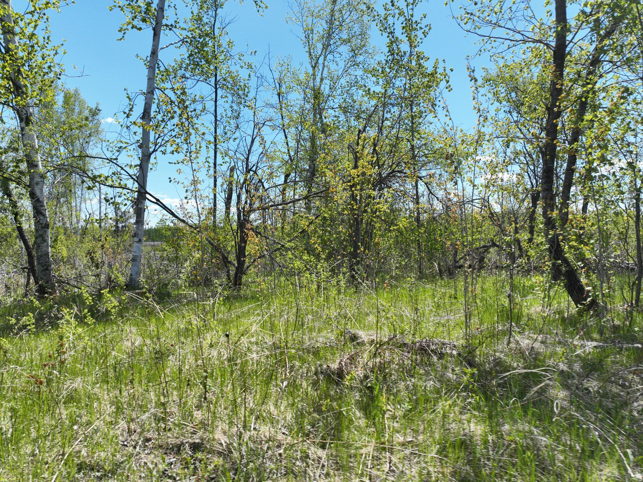 000 Koecher Road, Kerrick, Minnesota image 11