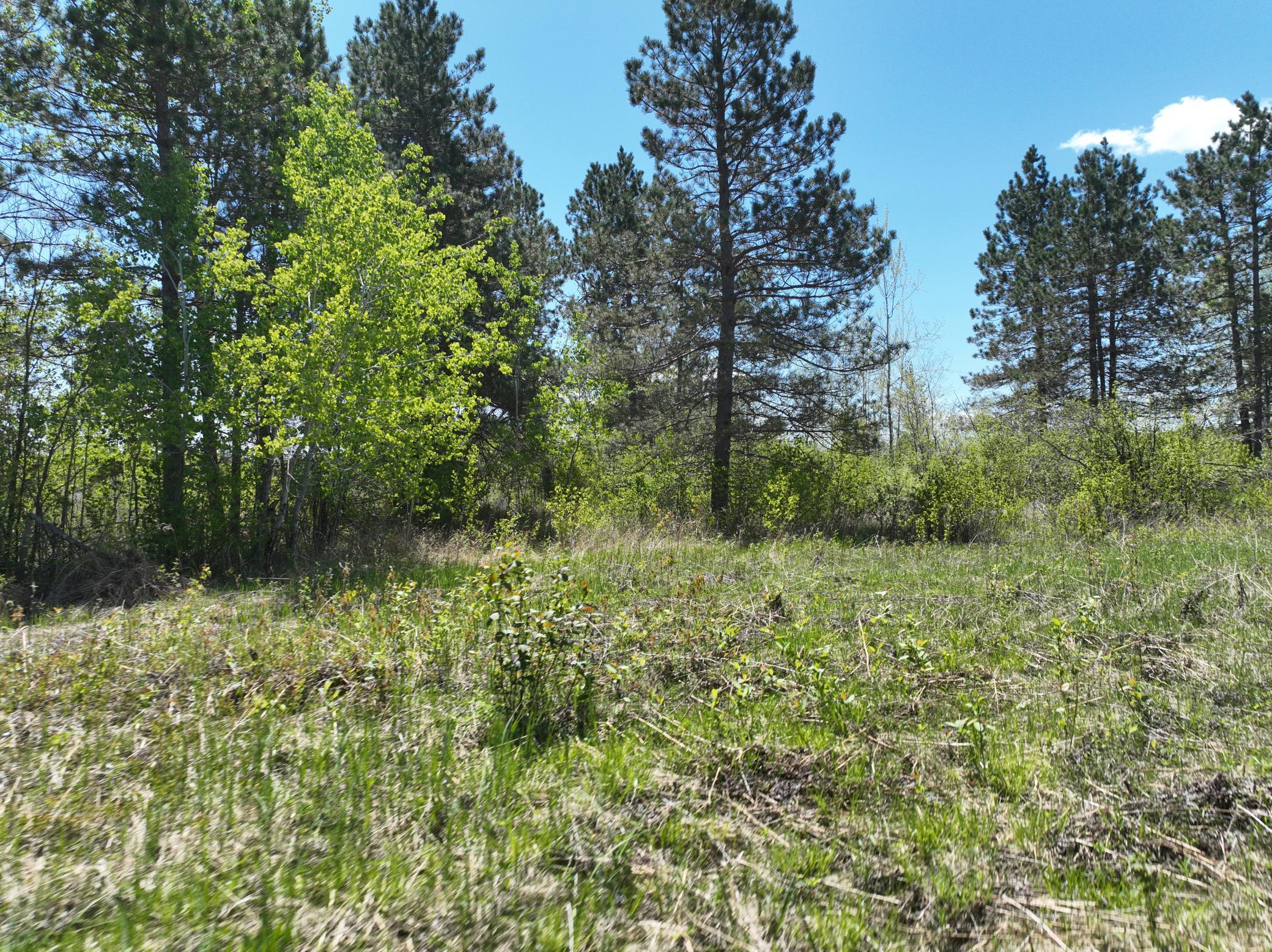 000 Koecher Road, Kerrick, Minnesota image 7