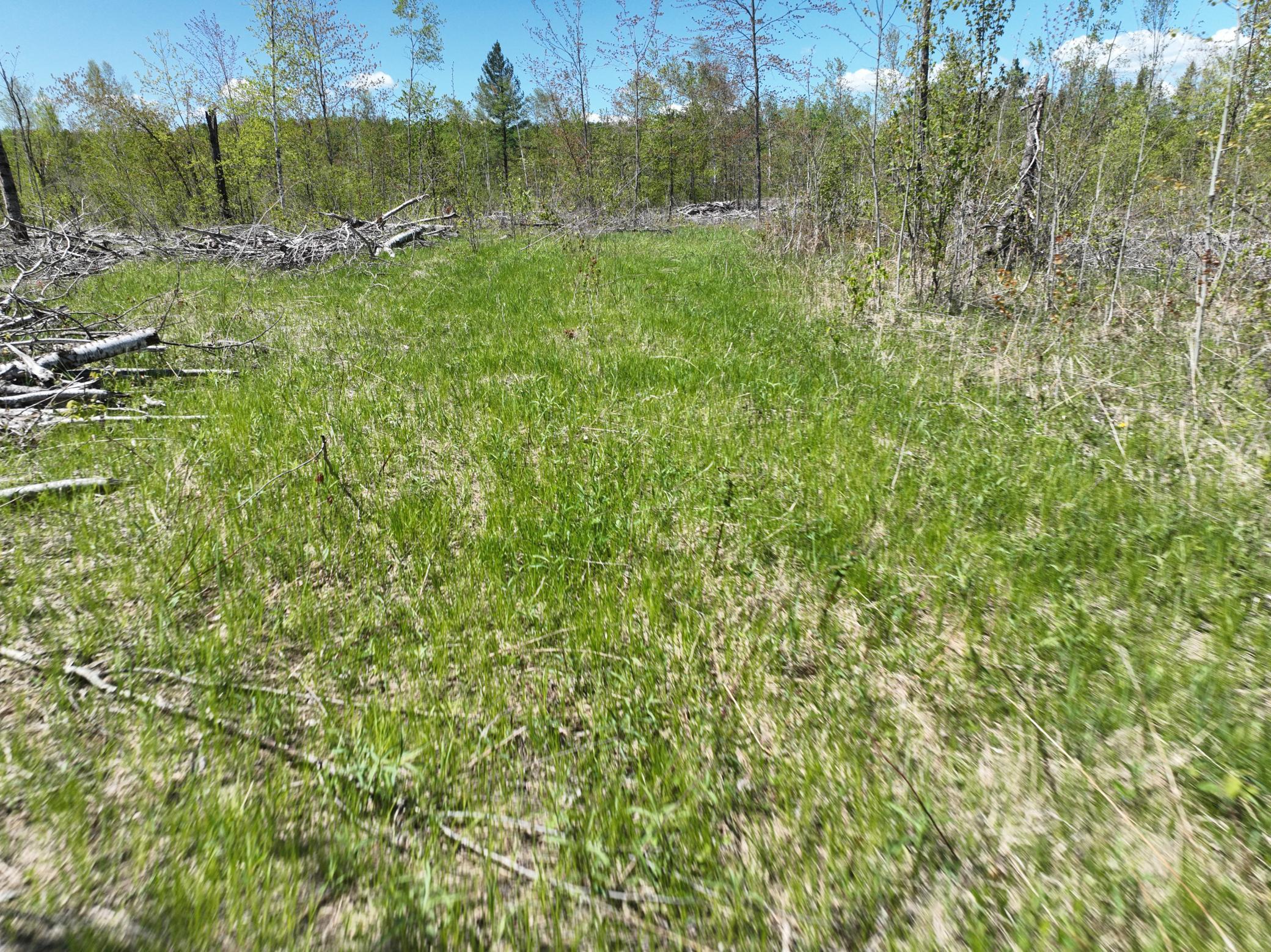 000 Koecher Road, Kerrick, Minnesota image 6