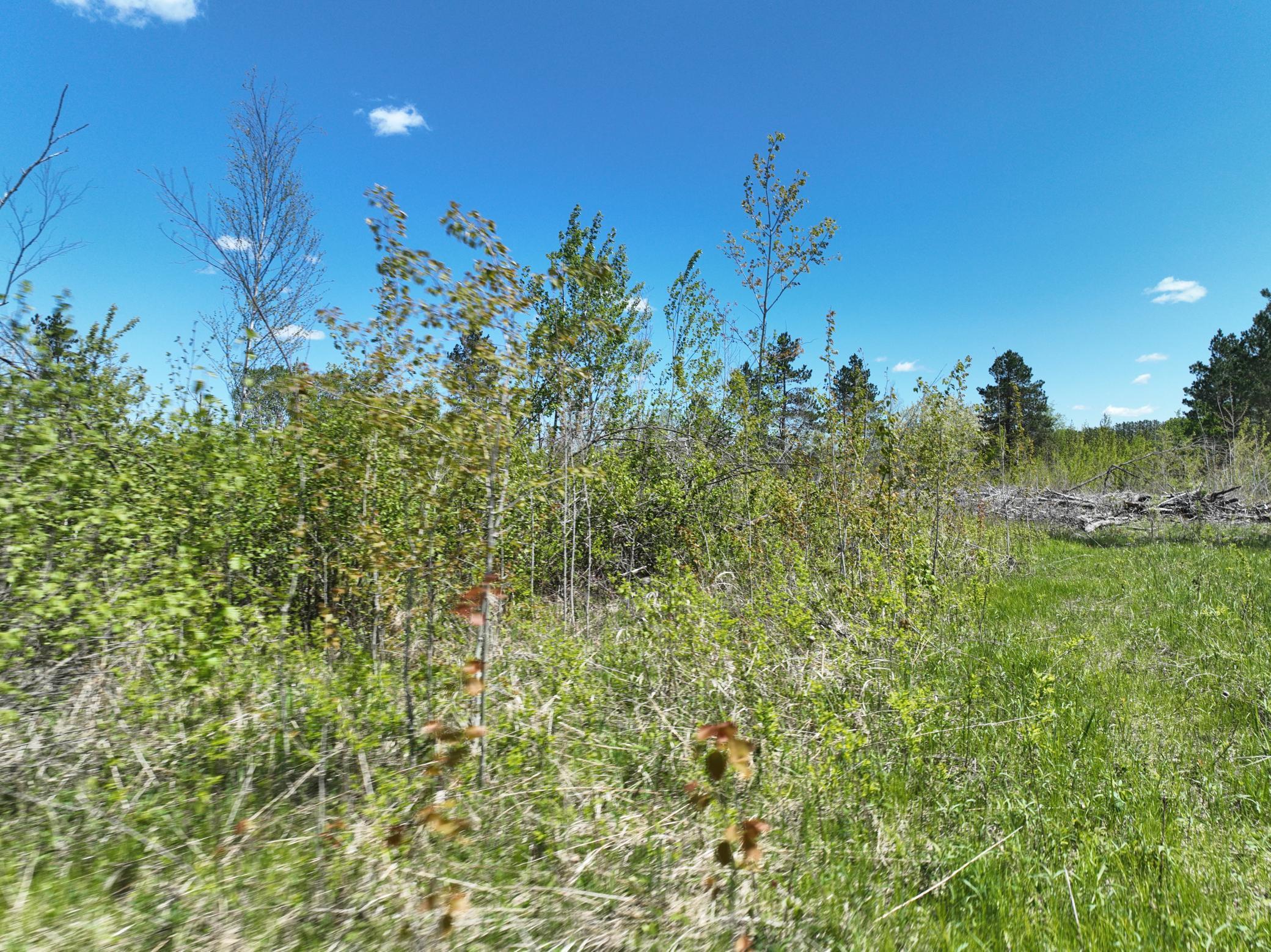 000 Koecher Road, Kerrick, Minnesota image 12