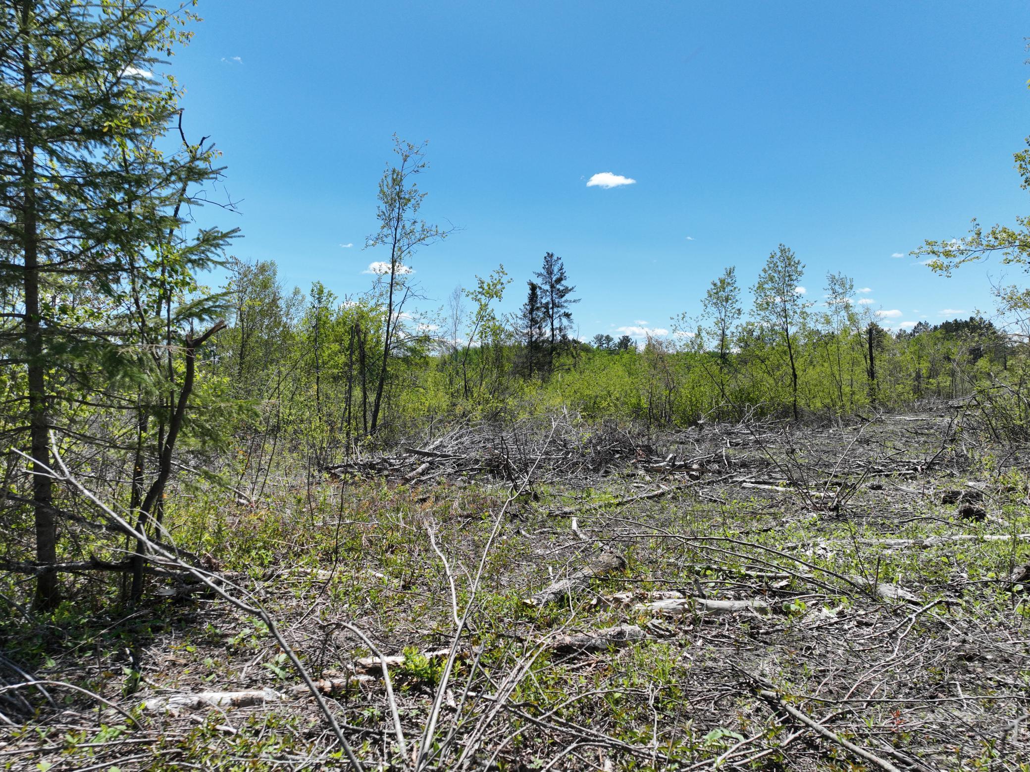 000 Koecher Road, Kerrick, Minnesota image 15