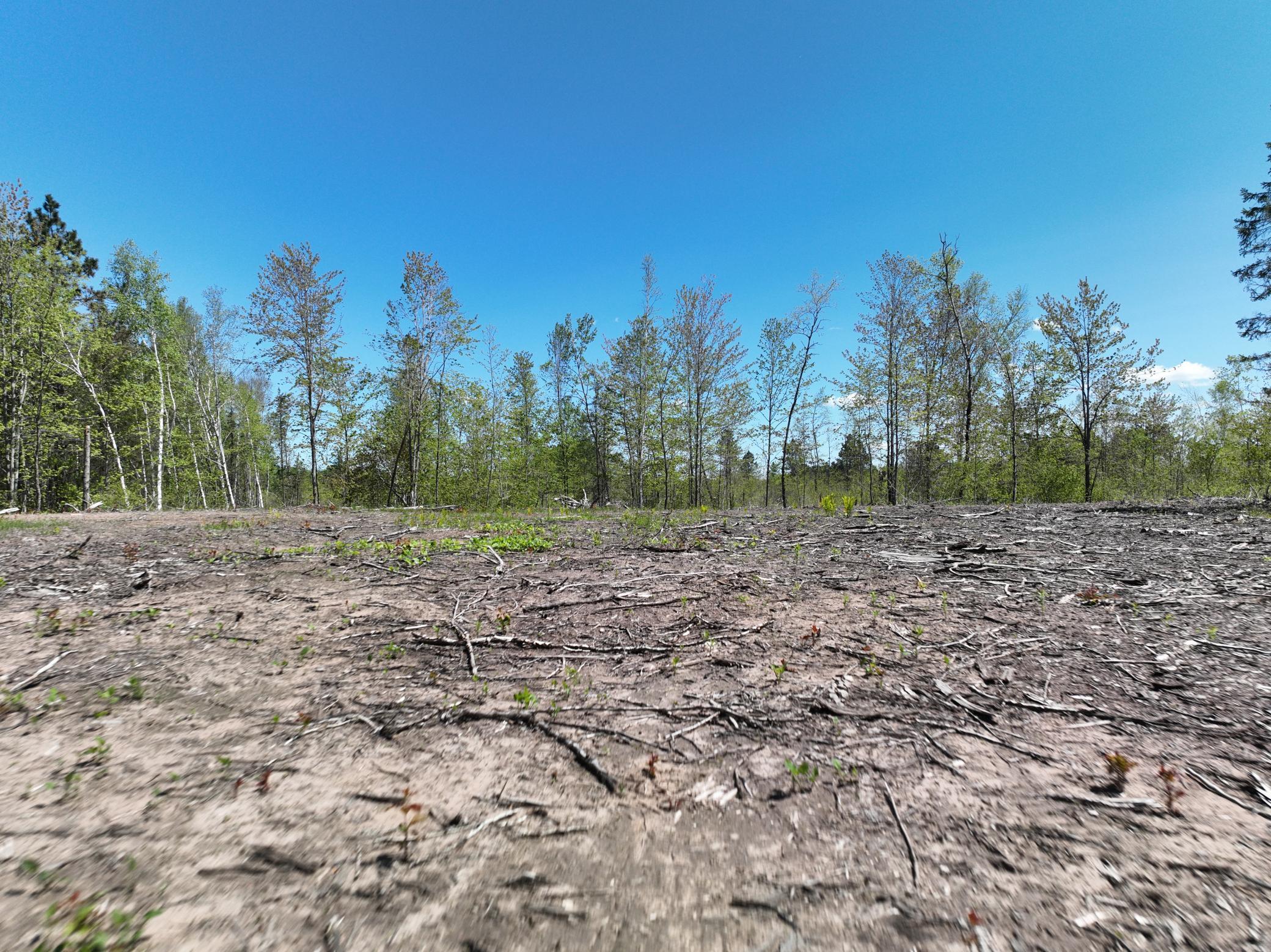 000 Koecher Road, Kerrick, Minnesota image 16