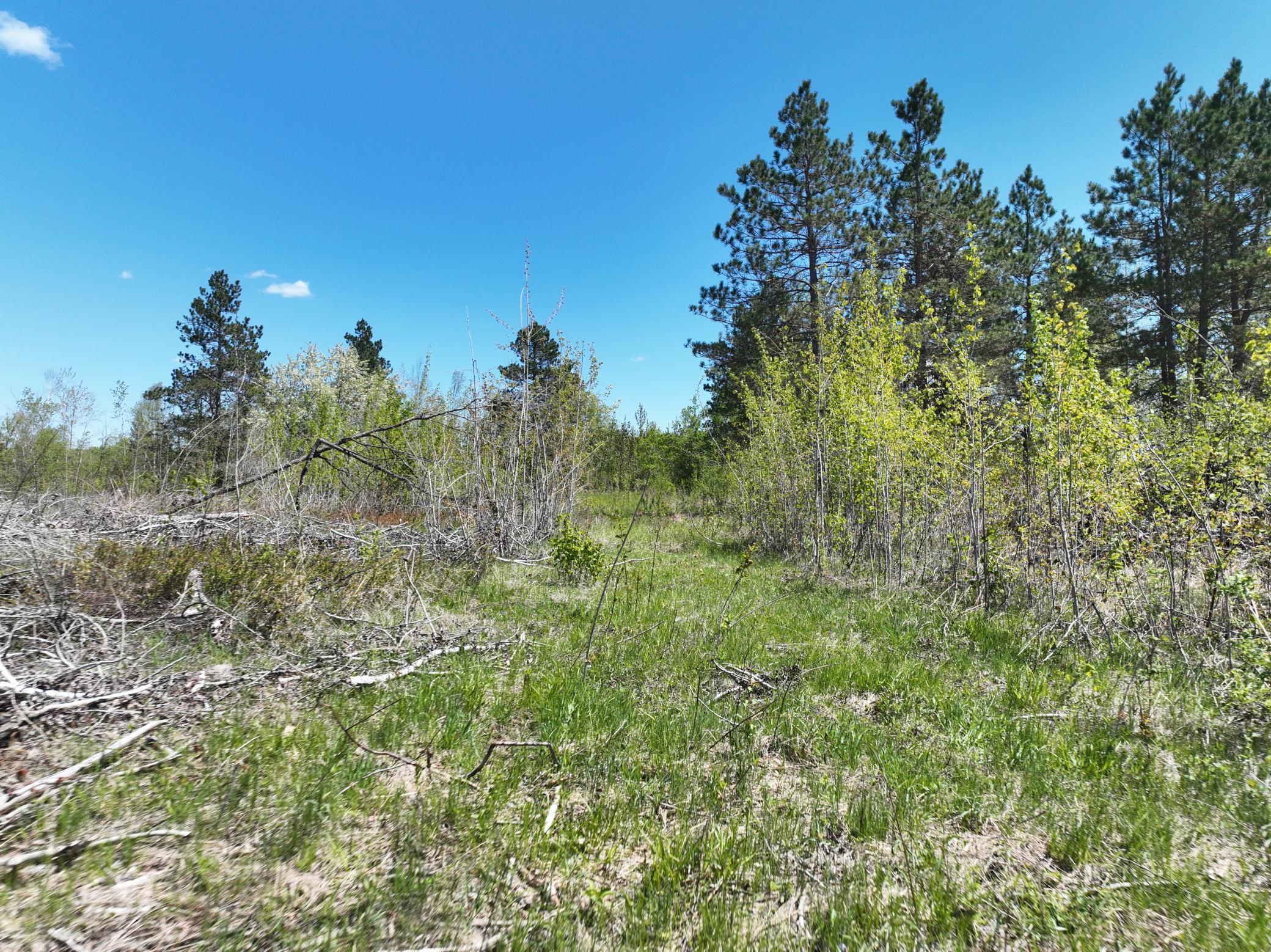 000 Koecher Road, Kerrick, Minnesota image 10