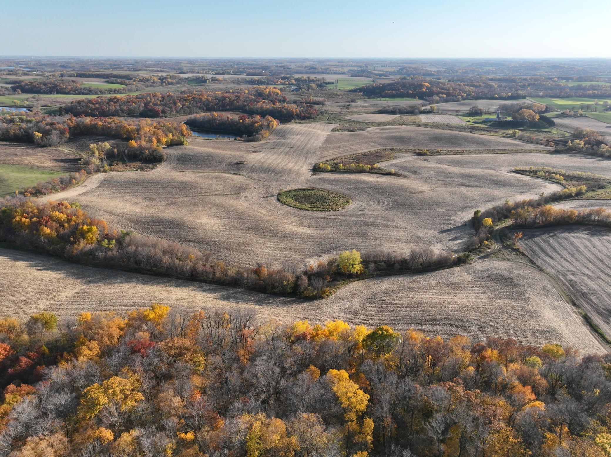 Xxx Fertile Avenue, Lonsdale, Minnesota image 6