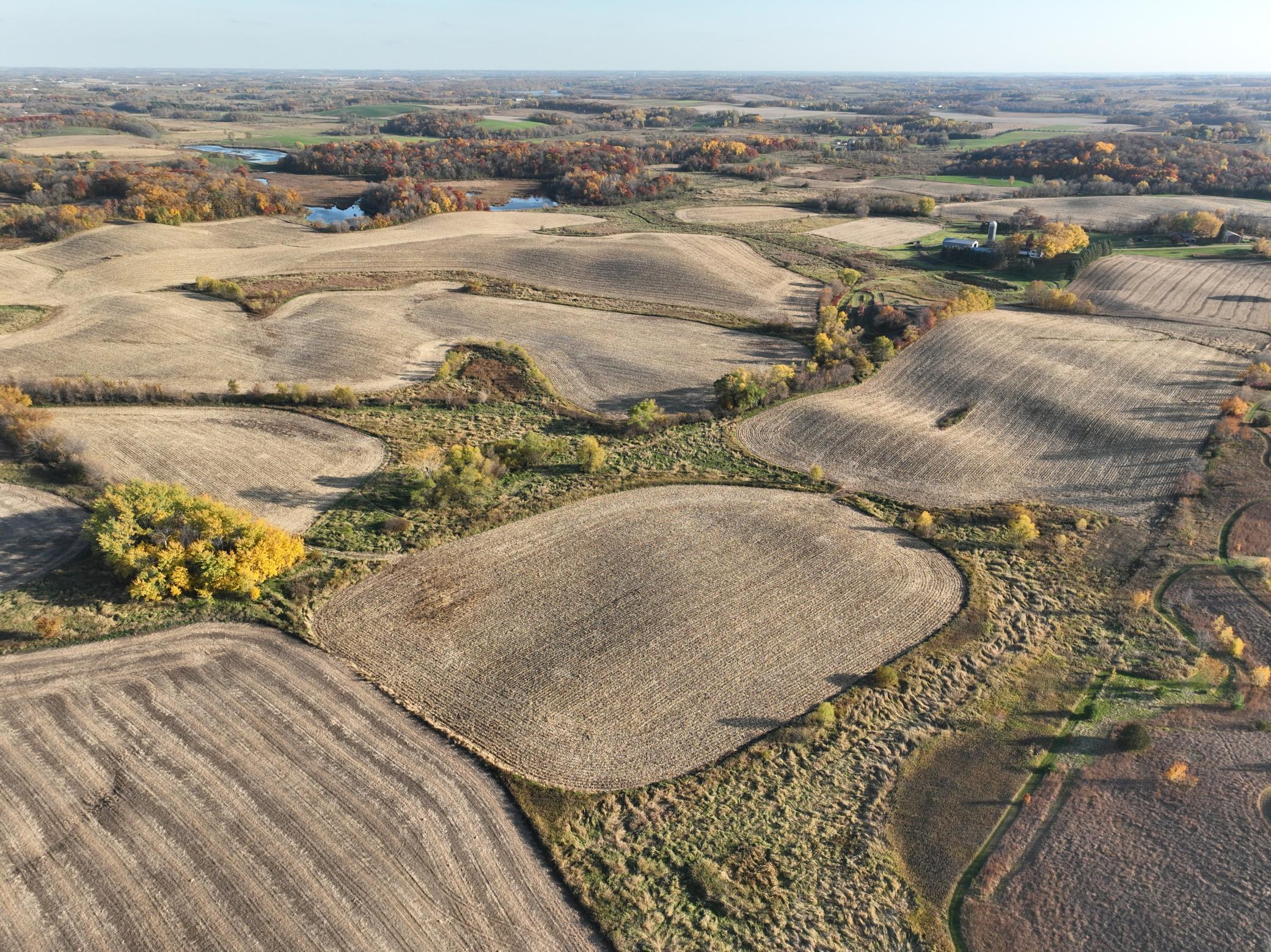 Xxx Fertile Avenue, Lonsdale, Minnesota image 18