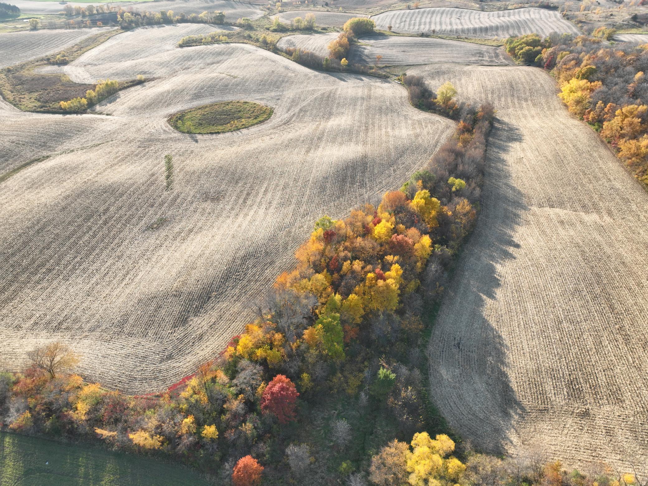 Xxx Fertile Avenue, Lonsdale, Minnesota image 3