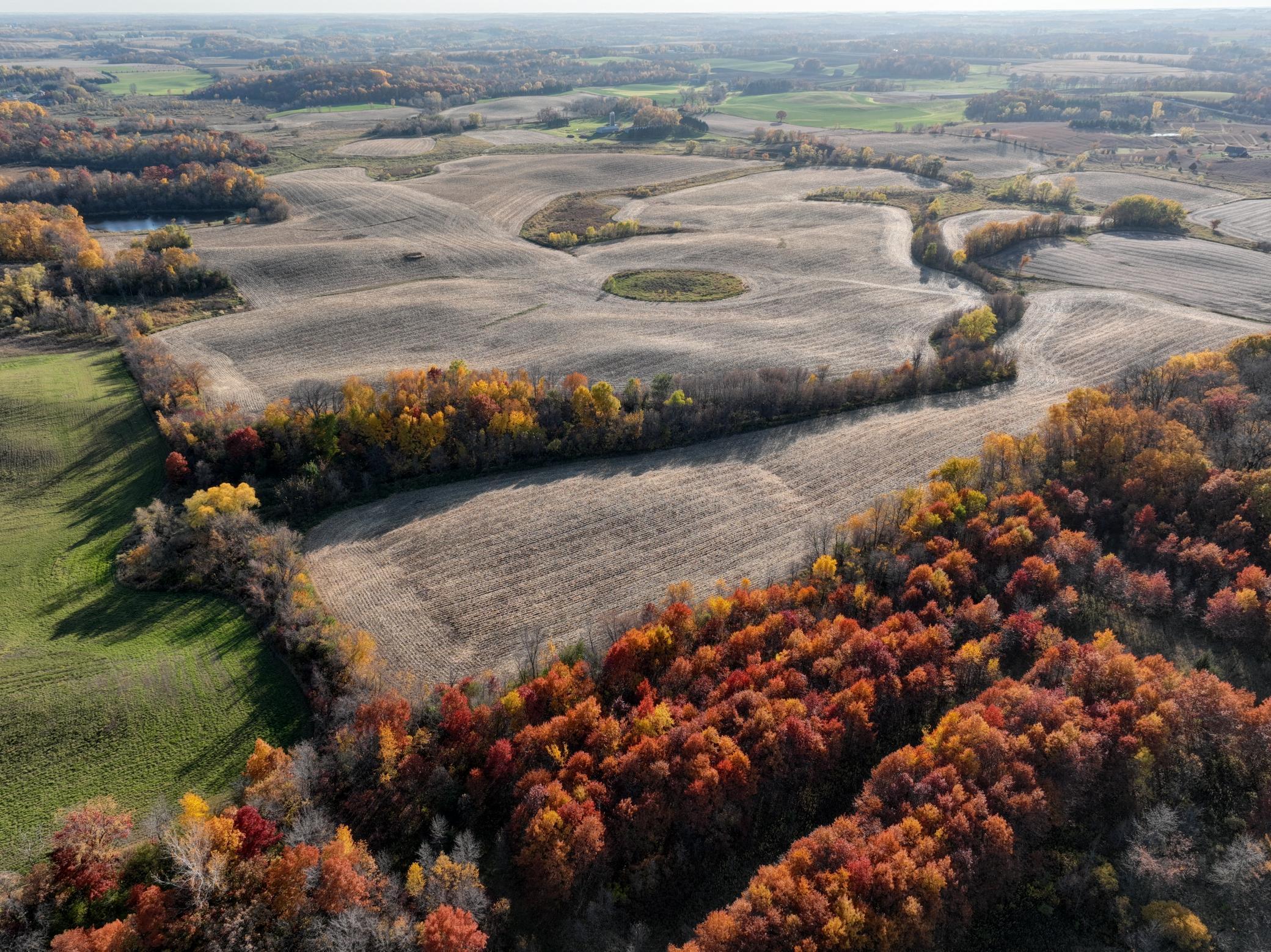 Xxx Fertile Avenue, Lonsdale, Minnesota image 1