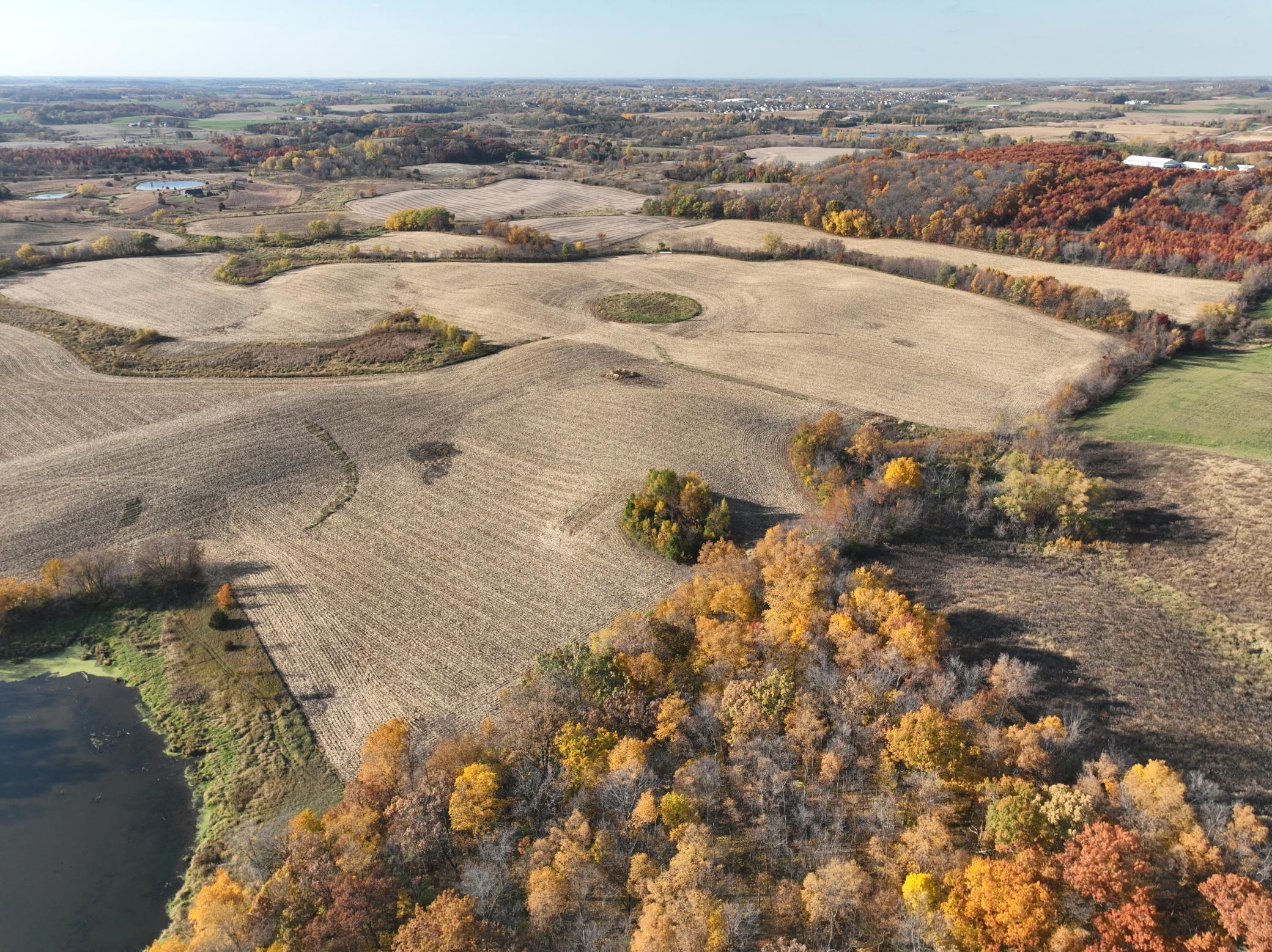 Xxx Fertile Avenue, Lonsdale, Minnesota image 12