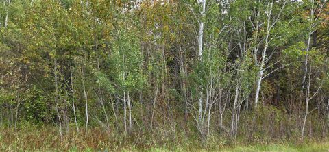 Vacant Land For Sale - TBD 2nd Avenue<br/> Koochiching County, International Falls, MN 56649