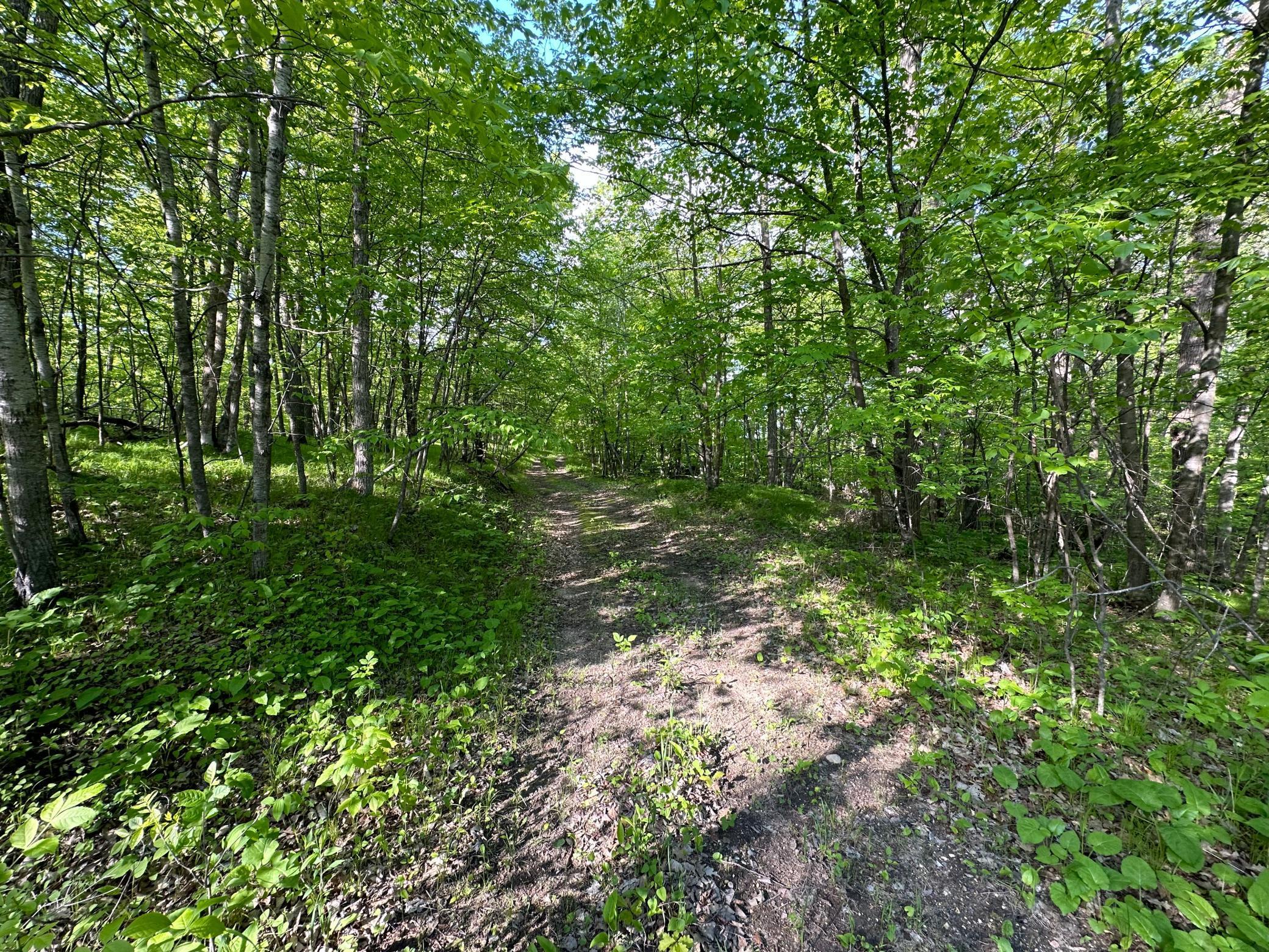 44698 Idas Road, Osage, Minnesota image 3