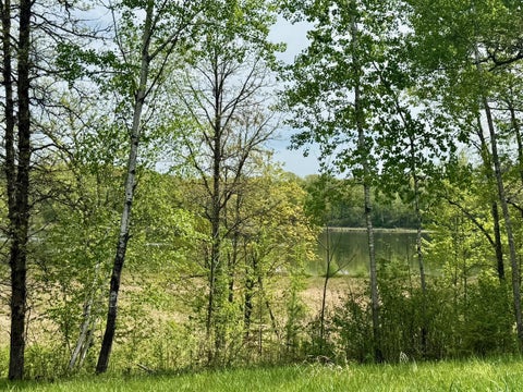 Vacant Land For Sale - XYZ Dailey Lake Road<br/> Willow River, MN 55795