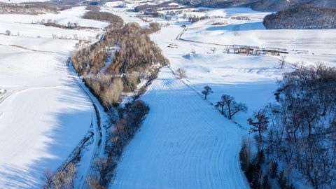 Vacant Land For Sale - Lyga Valley Road<br/> Independence, WI 54747