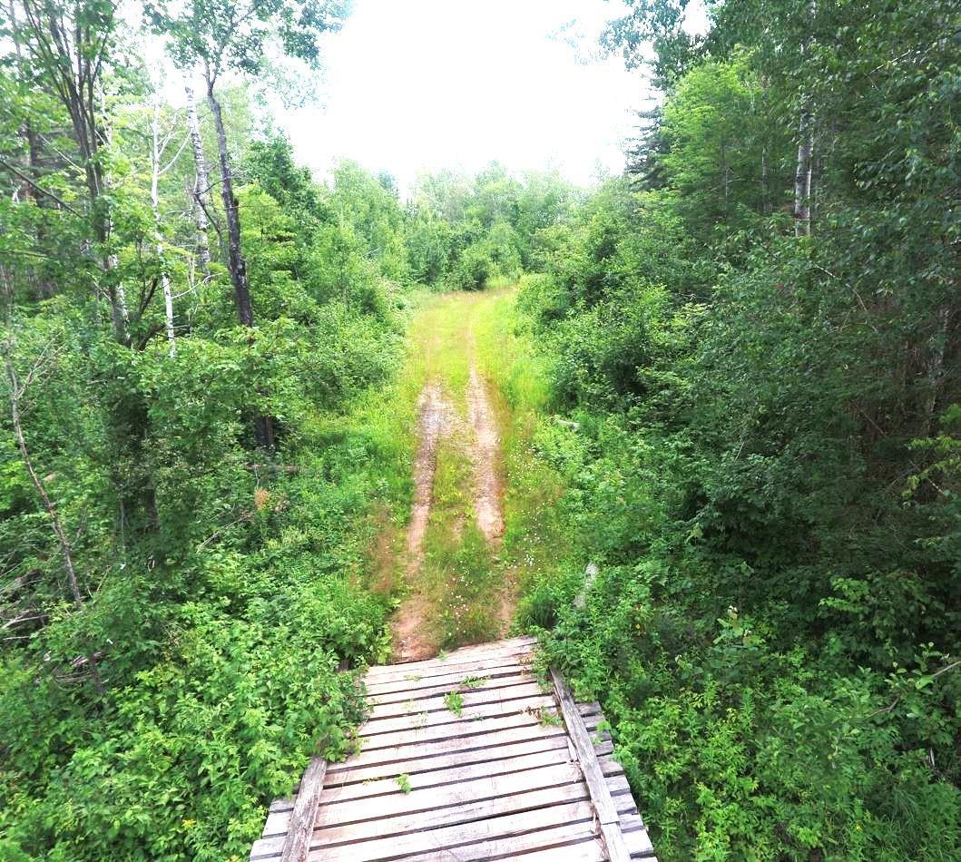 XX40 Acres W Center Road, Holyoke, Minnesota image 14