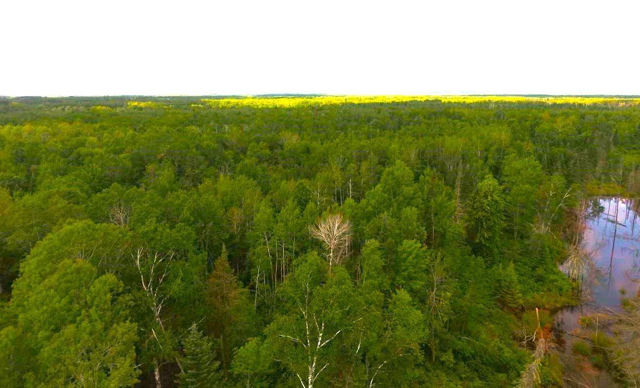 XX40 Acres W Center Road, Holyoke, Minnesota image 18