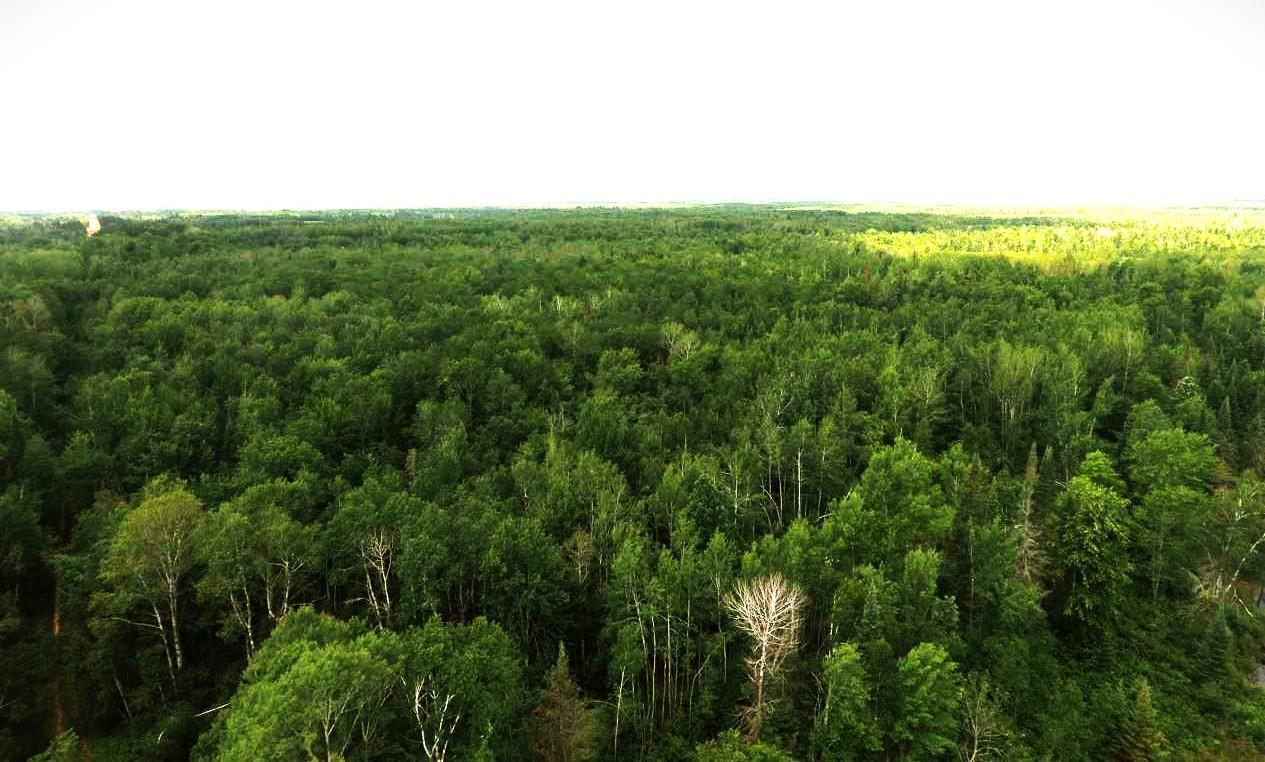 XX40 Acres W Center Road, Holyoke, Minnesota image 10