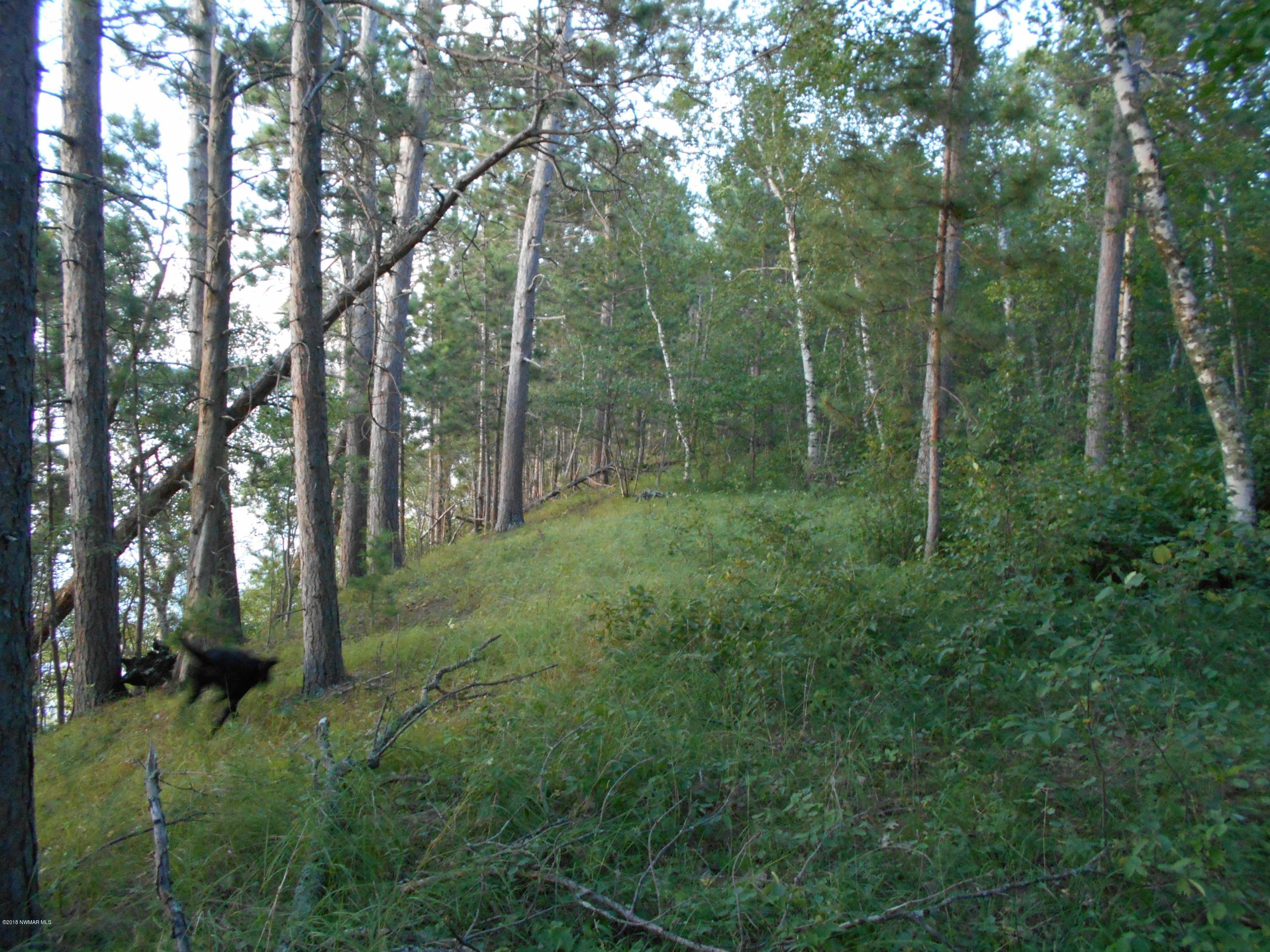 TBD Vaxjo Lane, Cass Lake, Minnesota image 18