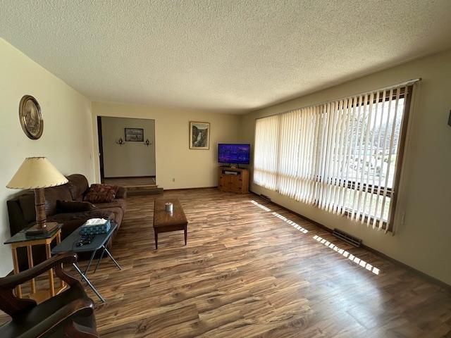 706 Scandia Street, Alexandria, Minnesota image 7