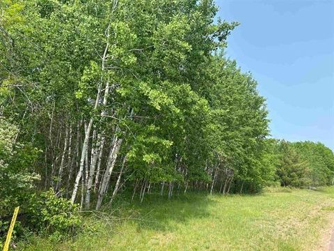 Vacant Land For Sale - LOT 3 North Shore Drive<br/> Iron River, WI 54847