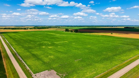 Vacant Land For Sale - TBD 360 St Nw<br/> Marshall County, Argyle, MN 56713