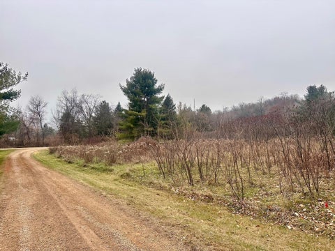 Vacant Land For Sale - LOT 1 County Rd M<br/> River Falls, WI 54022