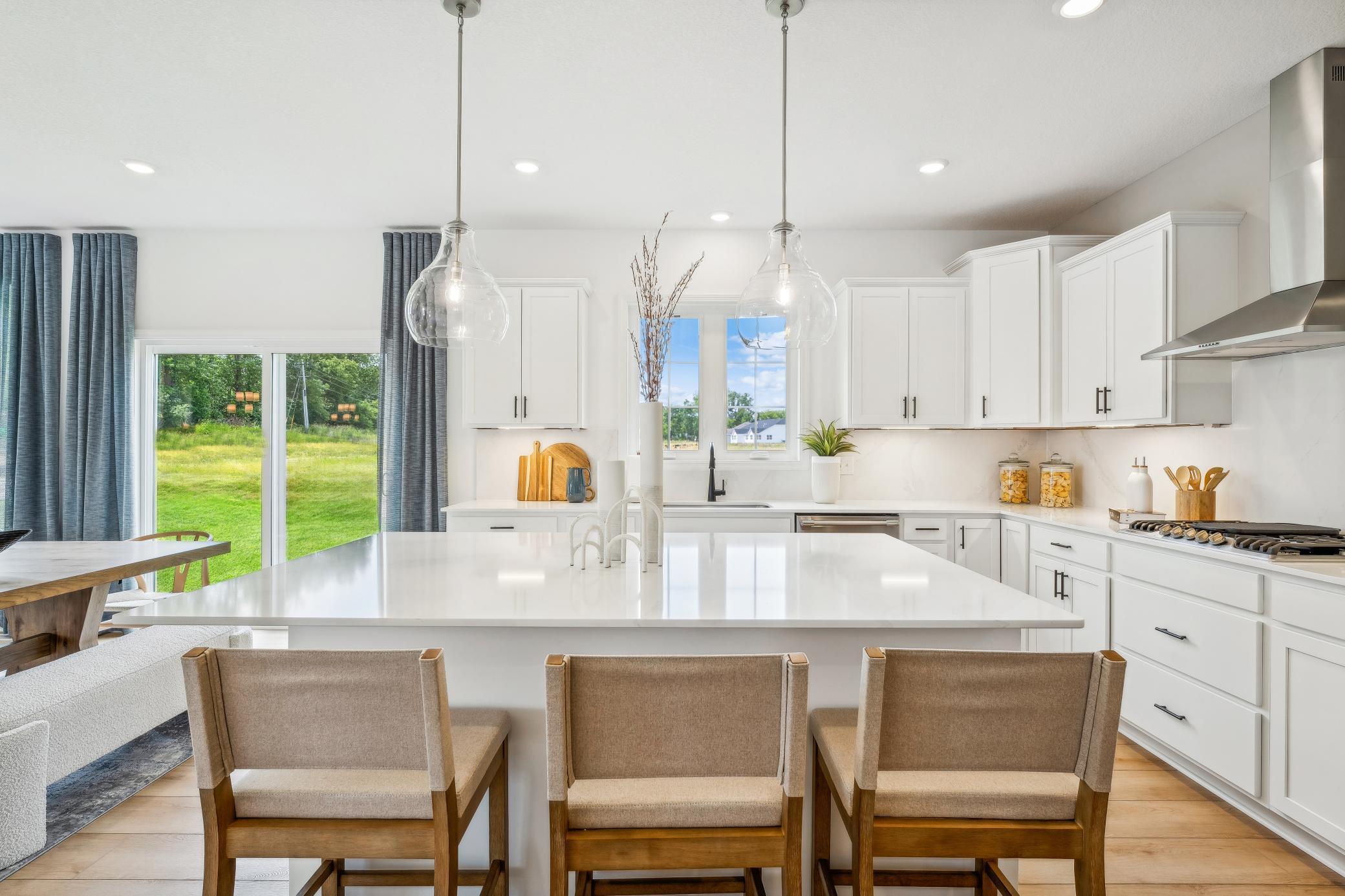 1049 Aster Boulevard, Rosemount, Minnesota image 3