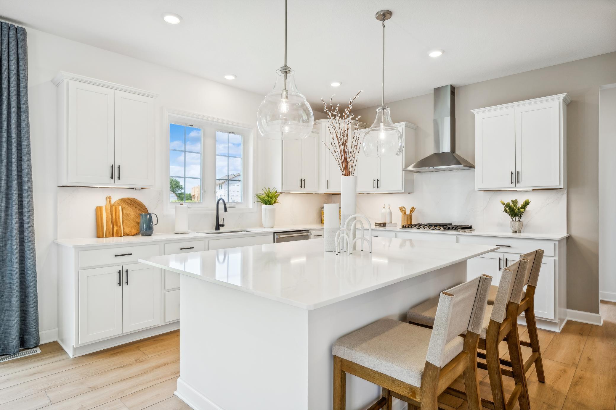 1049 Aster Boulevard, Rosemount, Minnesota image 1