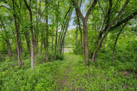 Vacant Land For Sale - 2999 Weston Way<br/> Wright County, Hanover, MN 55341