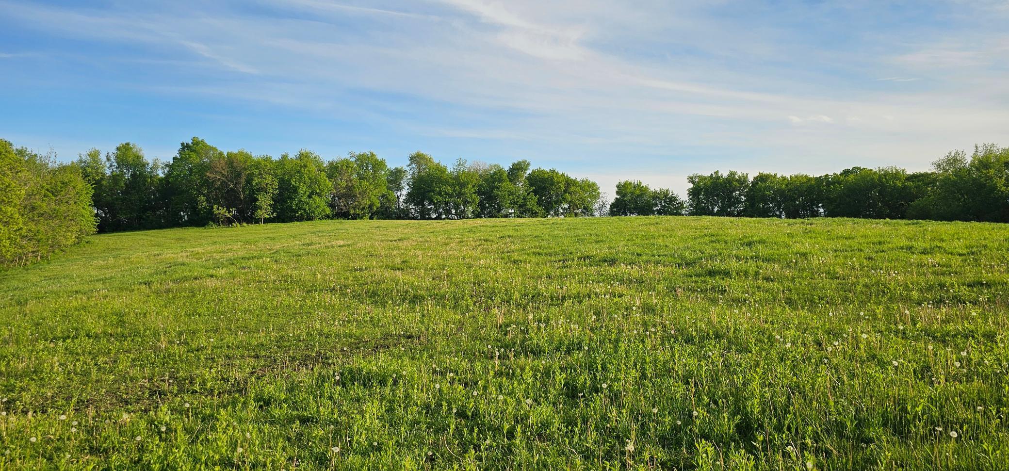 TBD 156th, Harmony, Minnesota image 16