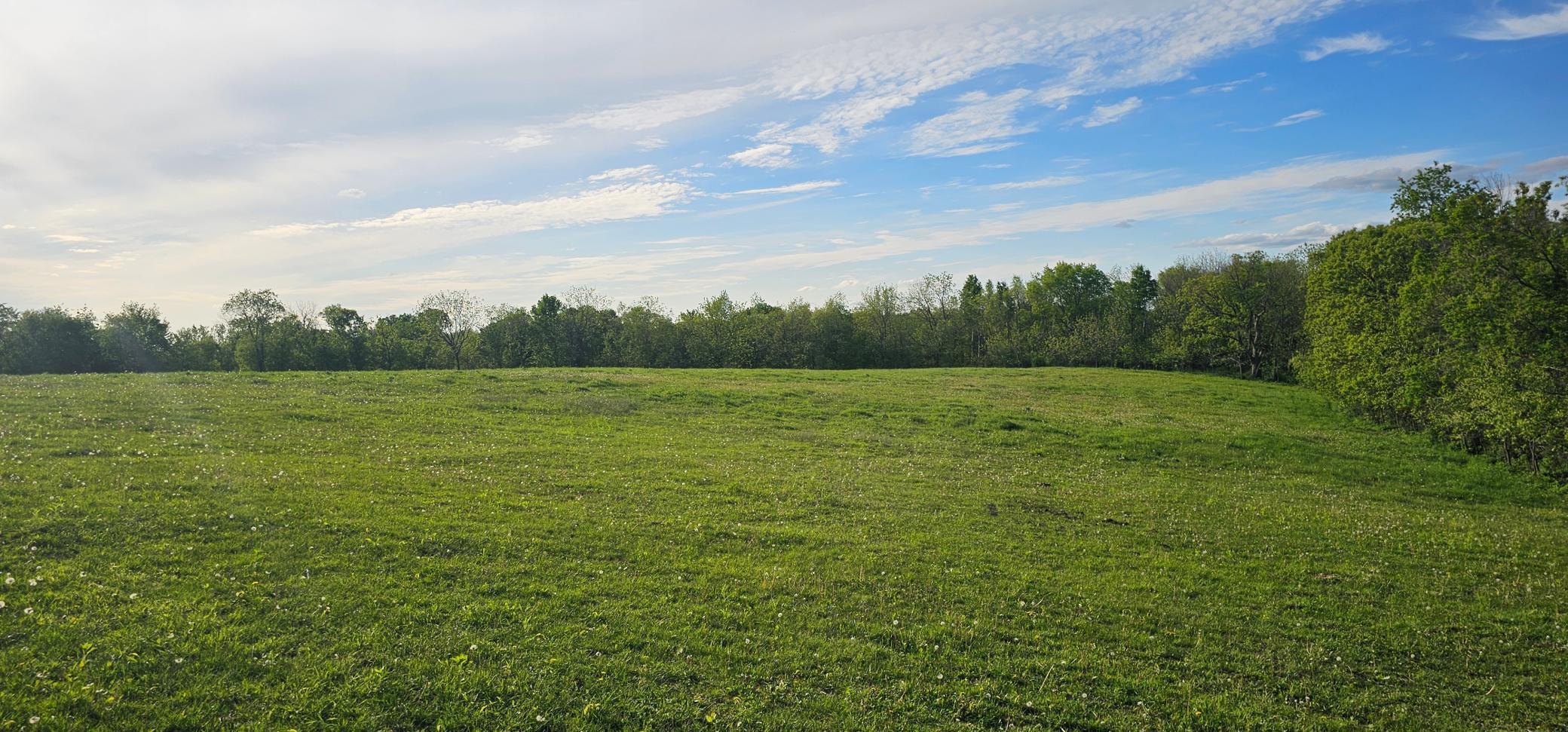 TBD 156th, Harmony, Minnesota image 8