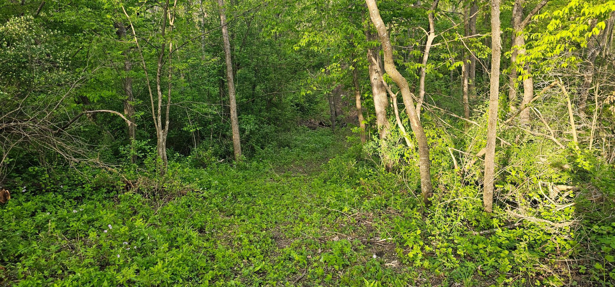 TBD 156th, Harmony, Minnesota image 21