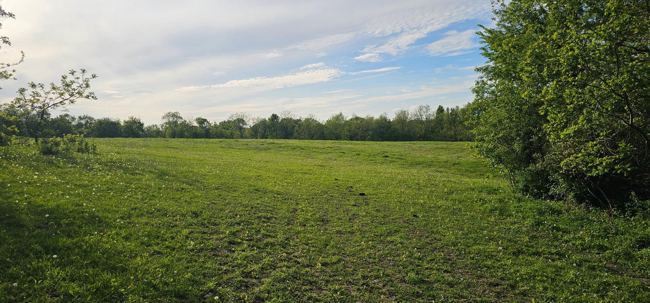 TBD 156th, Harmony, Minnesota image 6