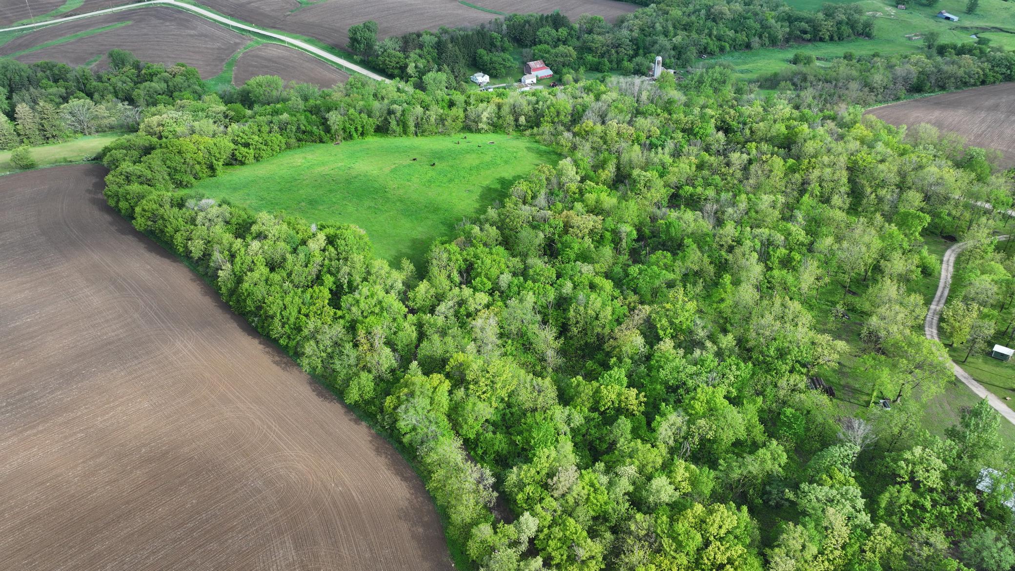TBD 156th, Harmony, Minnesota image 9