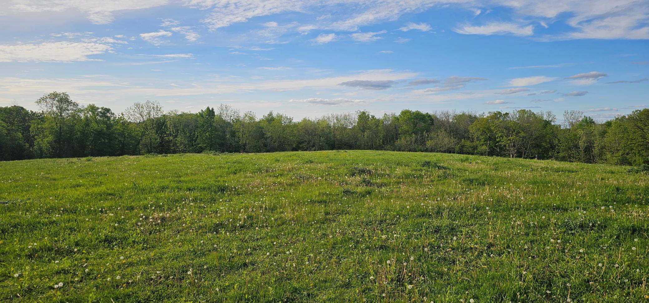 TBD 156th, Harmony, Minnesota image 19