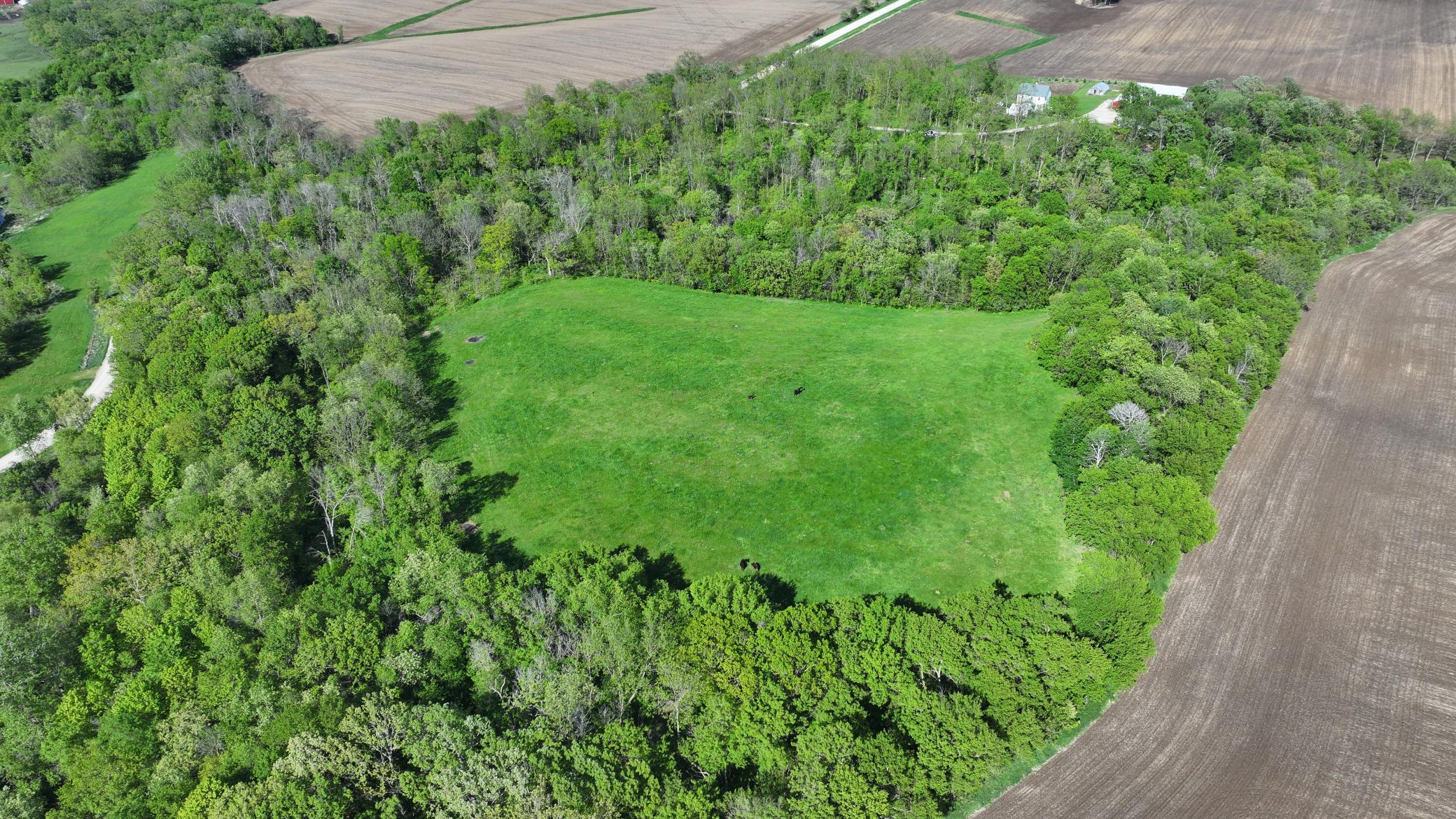 TBD 156th, Harmony, Minnesota image 1