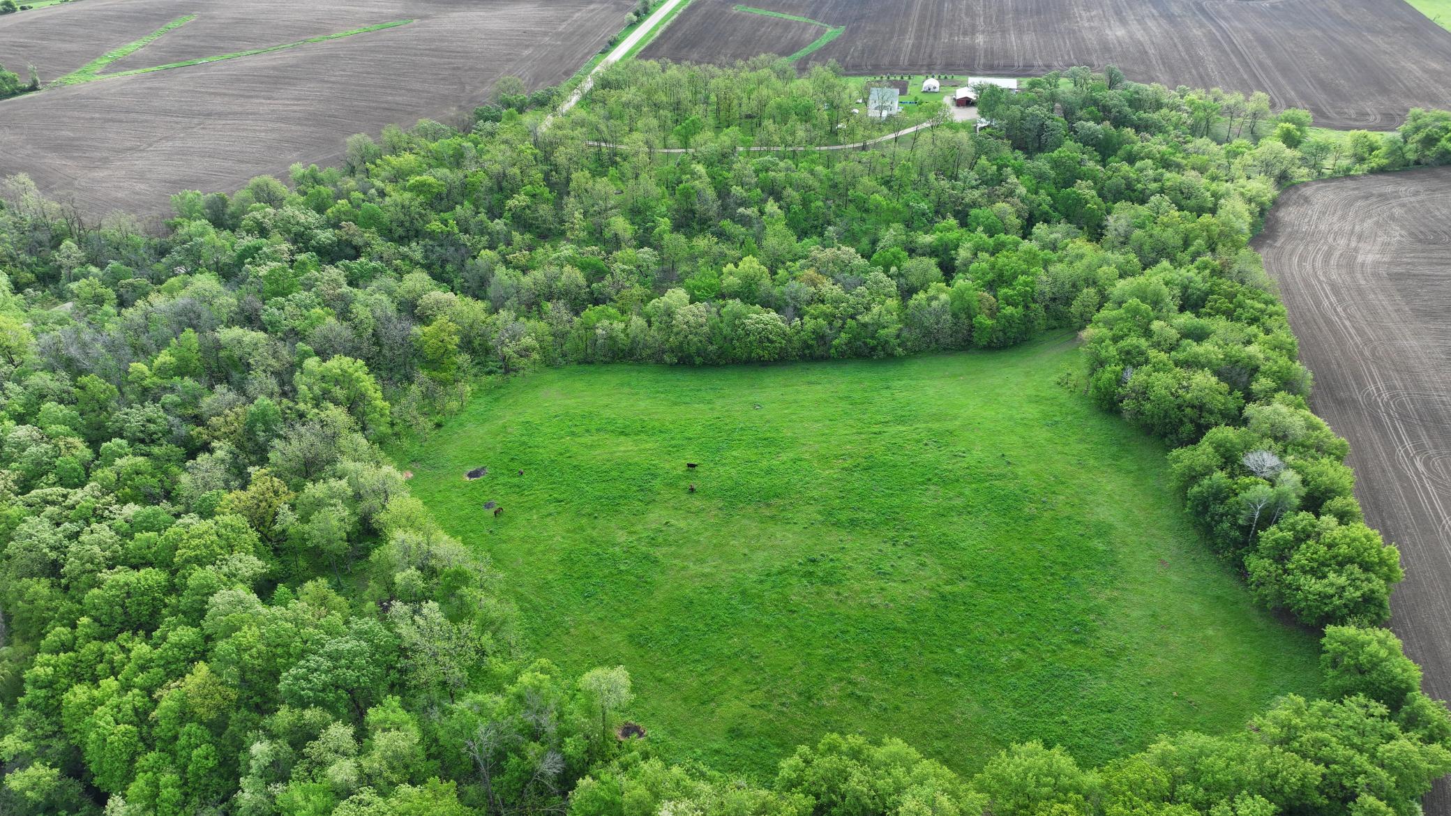 TBD 156th, Harmony, Minnesota image 7