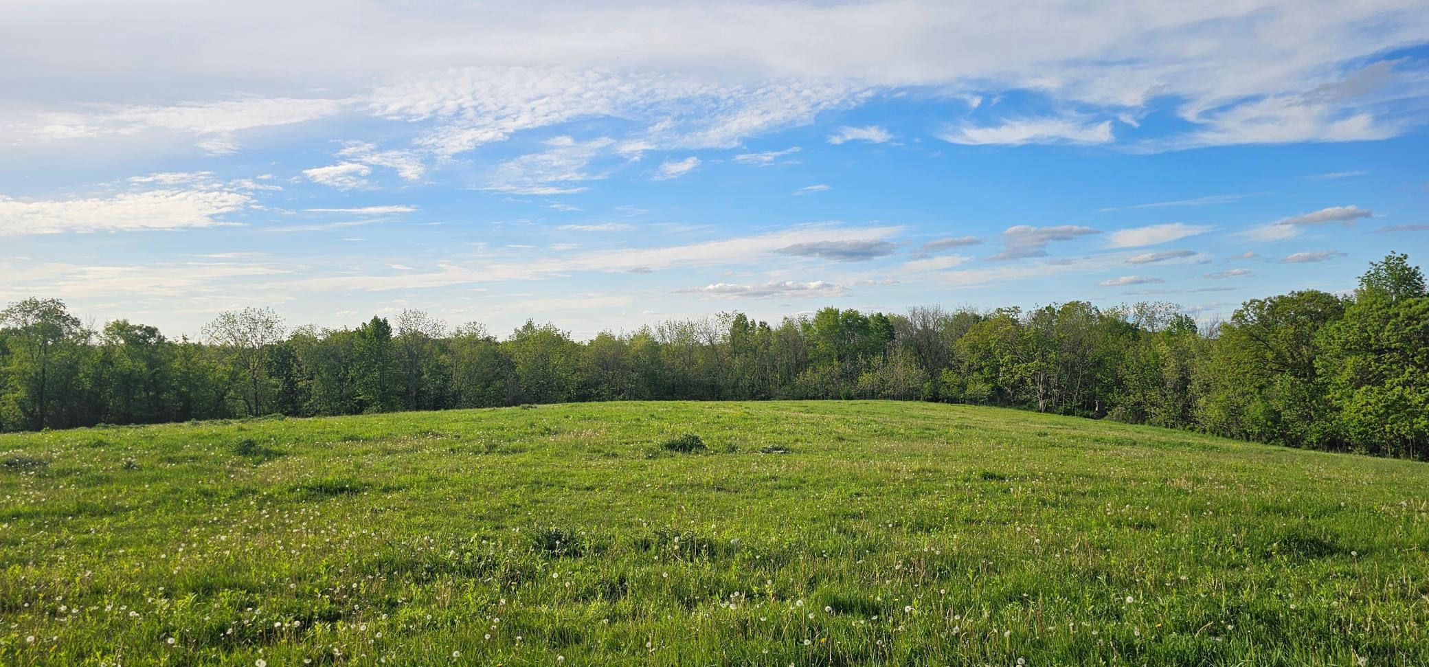TBD 156th, Harmony, Minnesota image 10