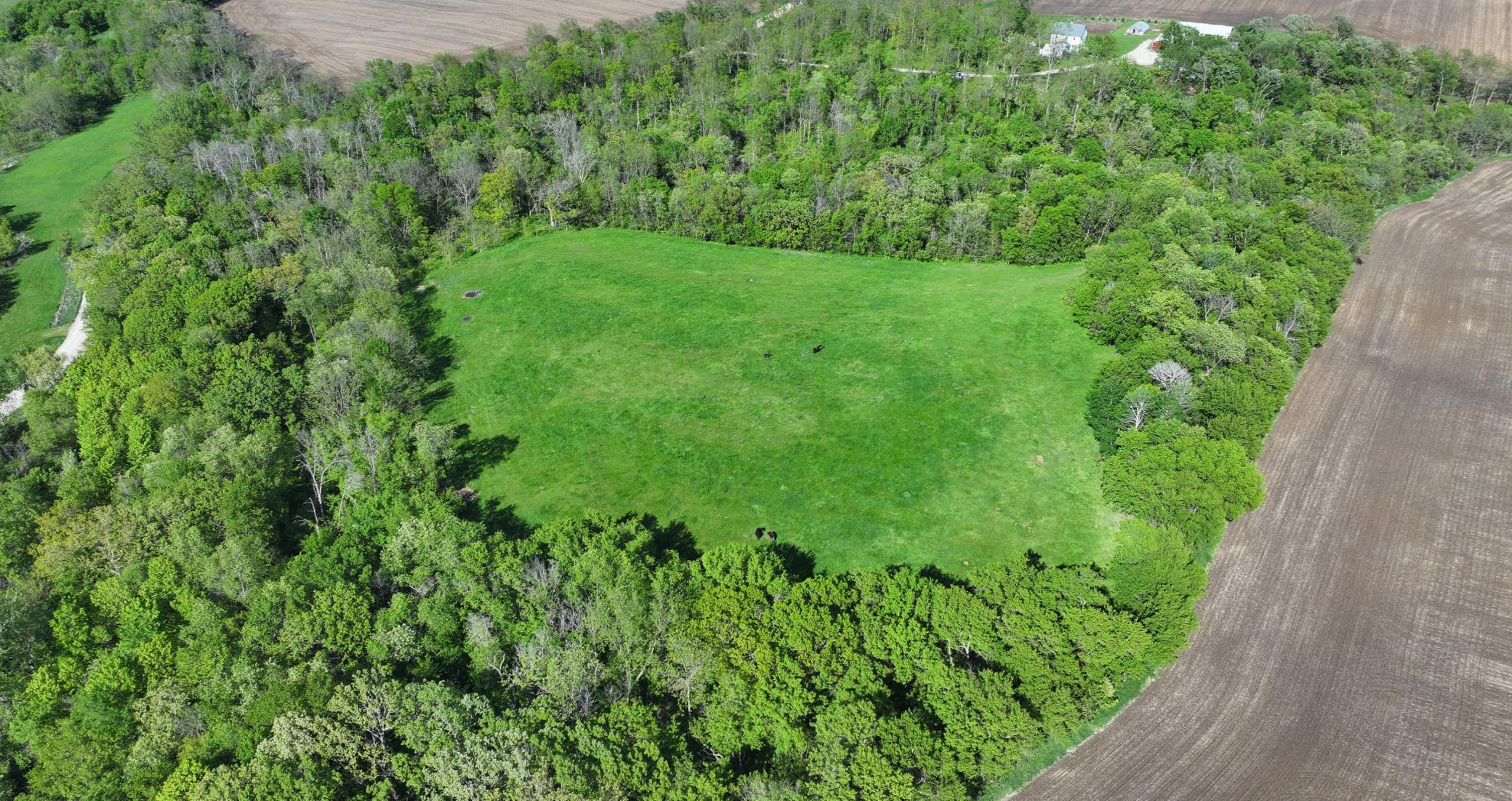 TBD 156th, Harmony, Minnesota image 13