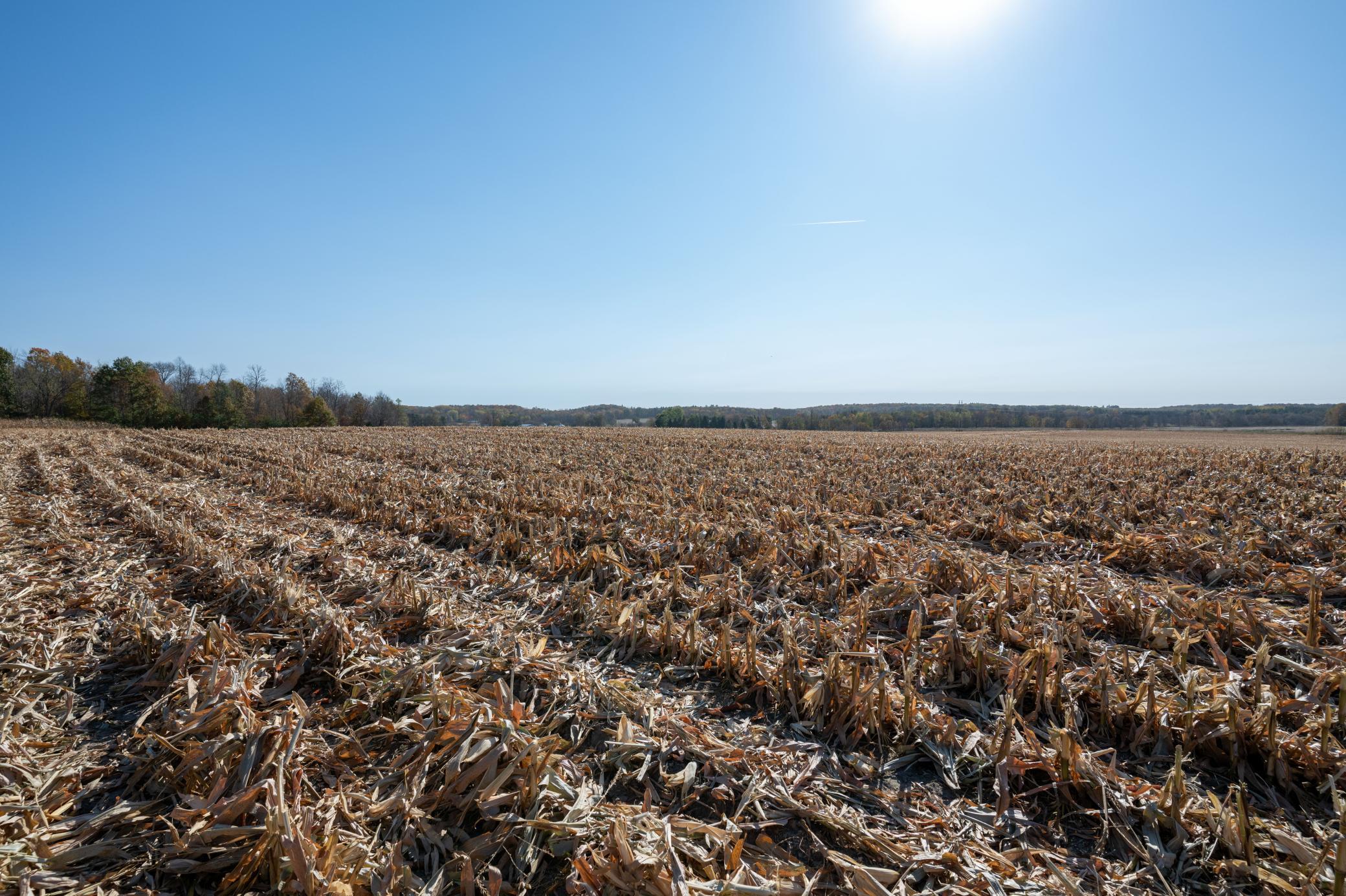 2014 10th Avenue, Baldwin, Wisconsin image 6