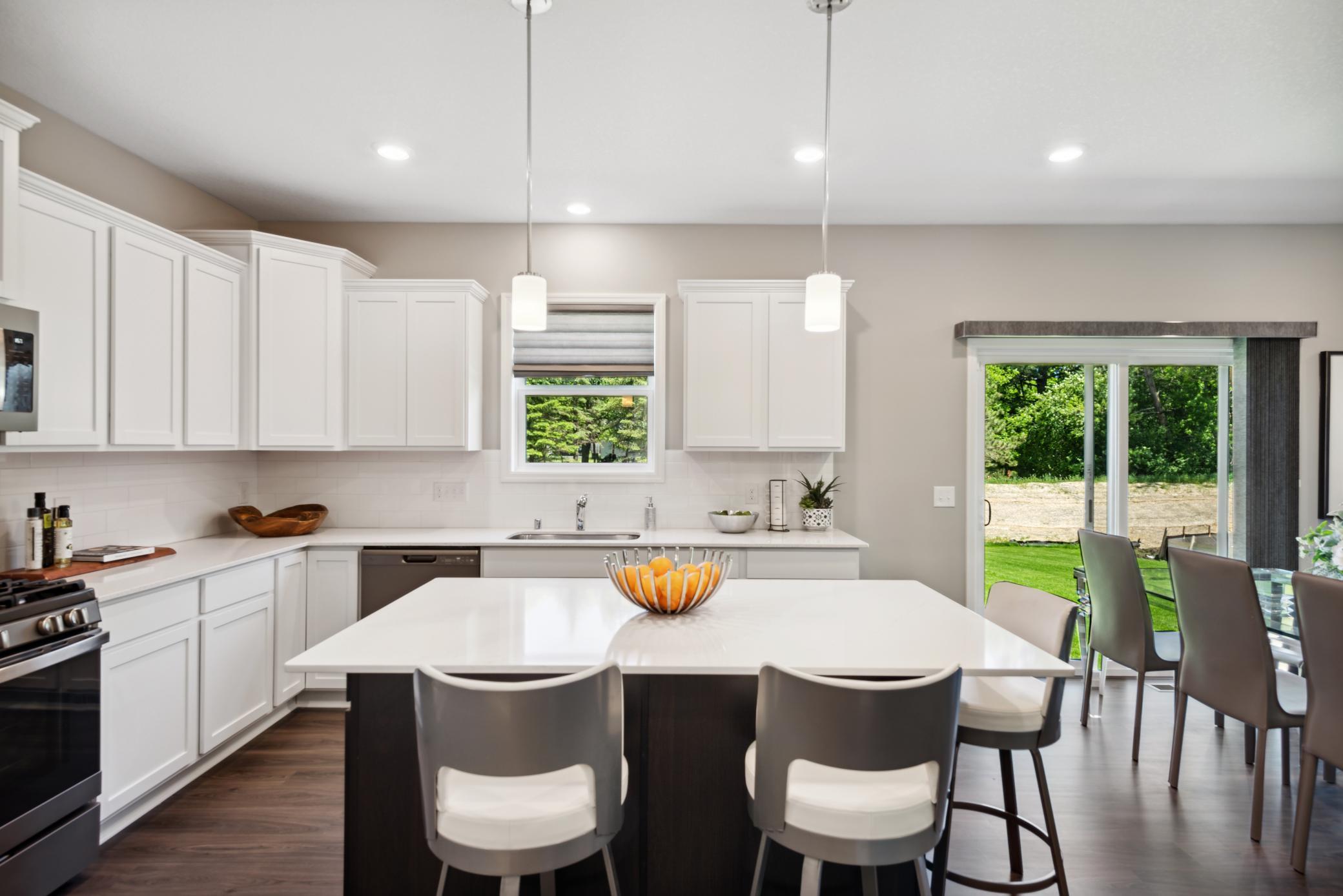 15242 Nutria Street, Ramsey, Minnesota image 3