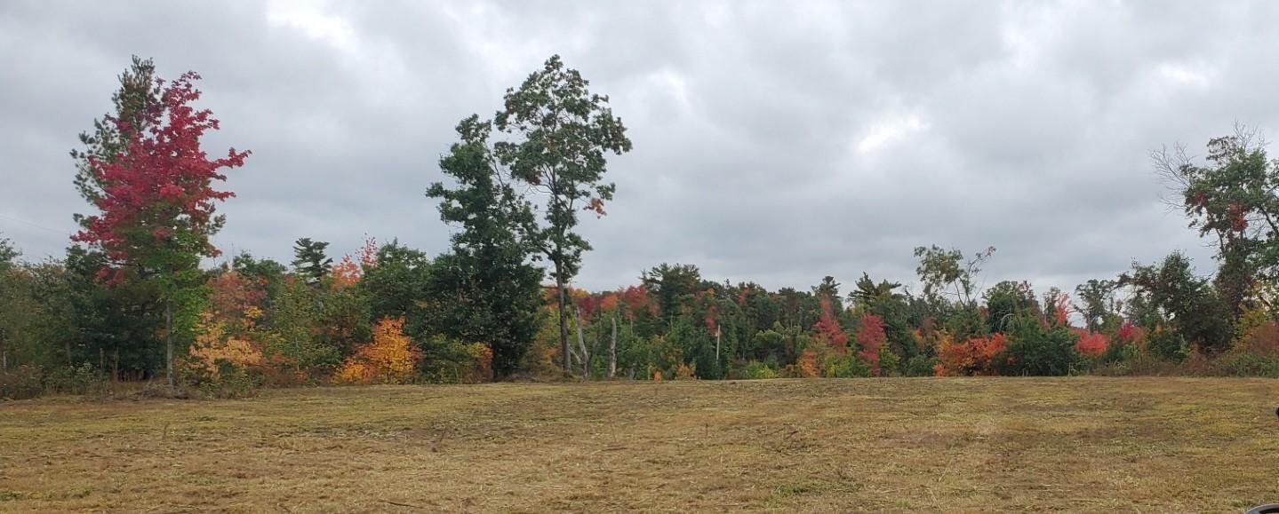 Lot 1 10-7/8 Avenue, Cameron, Wisconsin image 1