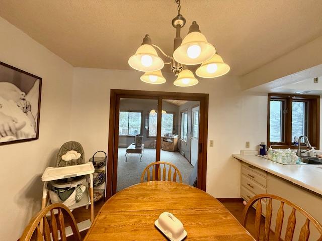 707 Hokah Street, Caledonia, Minnesota image 11