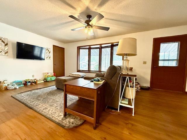 707 Hokah Street, Caledonia, Minnesota image 2