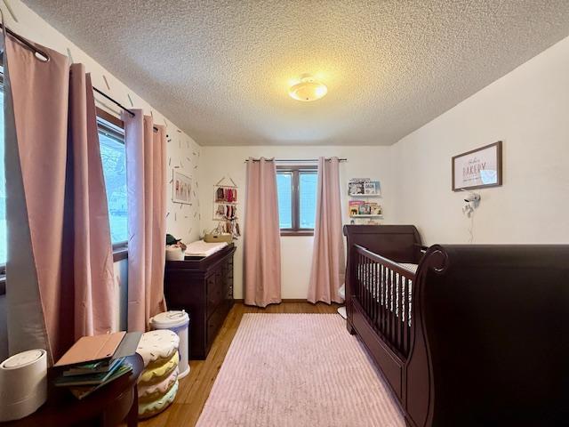 707 Hokah Street, Caledonia, Minnesota image 21