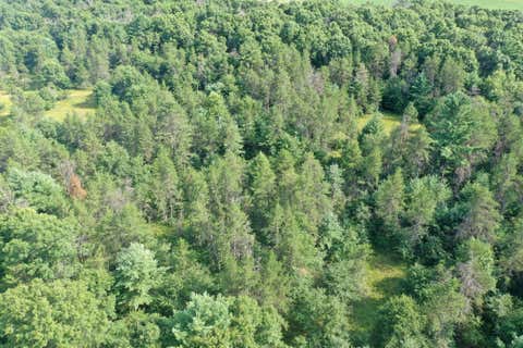 Vacant Land For Sale - S13160 Camp Road<br/> Eau Claire County, Fairchild, WI 54741
