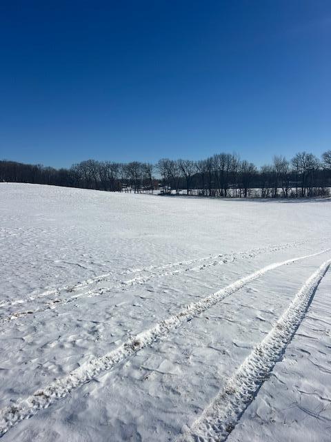 6203 78th Lane, Loretto, Minnesota image 6