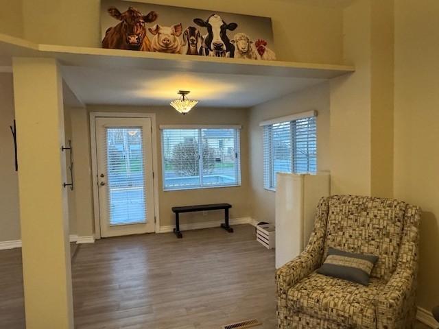 315 Court Lane, Albert Lea, Minnesota image 11