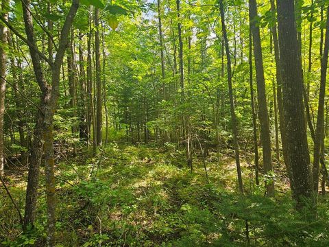 Vacant Land For Sale - LT 1 BLK 1 County Rd 238 St<br/> Itasca County, Deer River, MN 56636