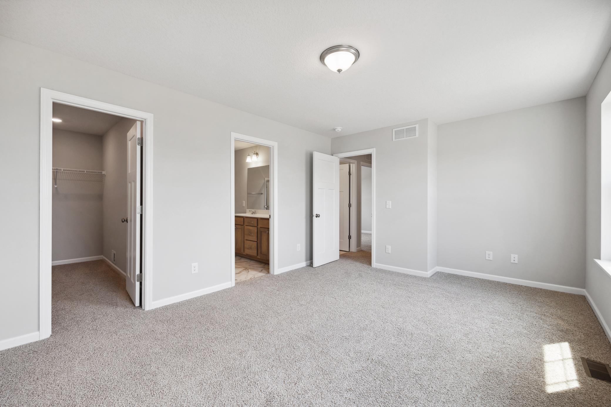 19367 Clearwater Loop, Farmington, Minnesota image 24